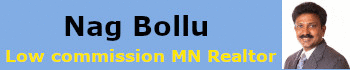 Nag Bollu, MN Realtor - Low Commission Agent in Town